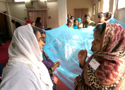 Establishing market for long-lasting insecticide mosquito nets in rural Bangladesh
